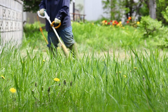 外構&お庭の雑草対策を解説!